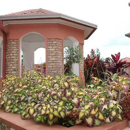 Hotel Maisons-Sifa Butare المظهر الخارجي الصورة